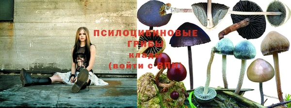 прущий лед Новозыбков