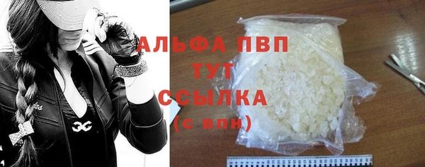 прущий лед Новозыбков